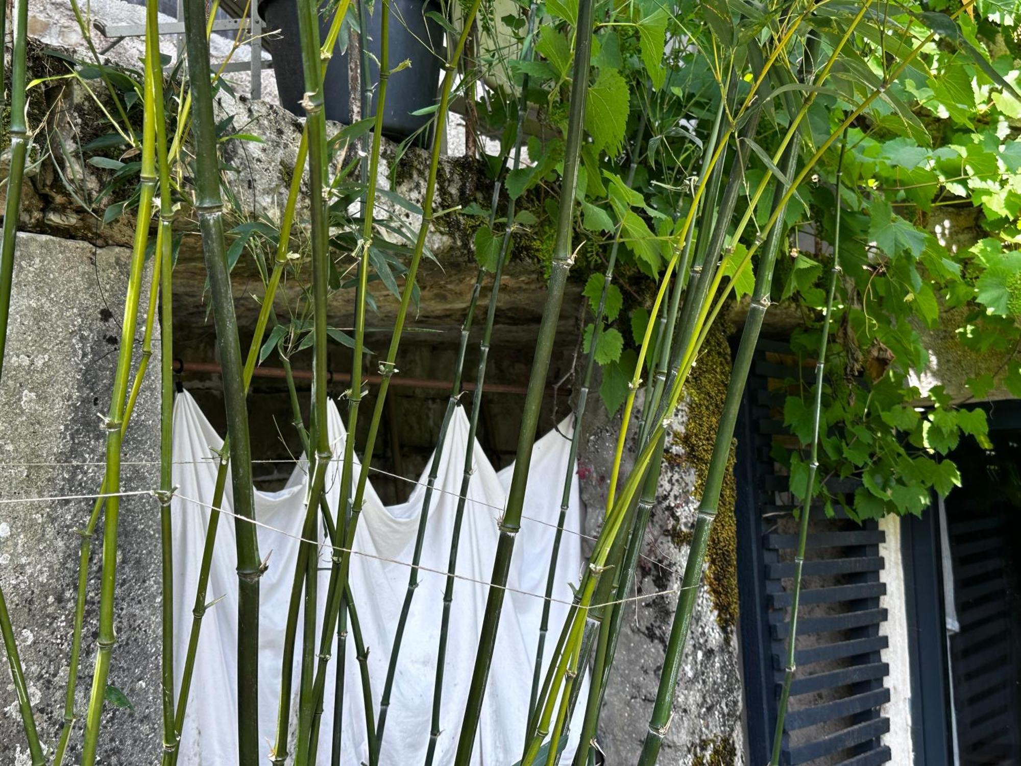 Maison Au Bord De L'eau Privatunterkunft *